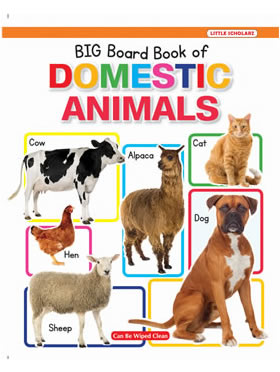 Little Scholarz New Big Board Book Of Domestic Animals